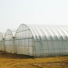 Transparent UV block blow molding greenhouse film